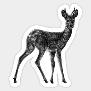 Roe deer stag - animal ink illustration Sticker